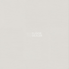Линолеум Настенное покрытие Tarkett Wallgard Rolls White Grey фото 1 | FLOORDEALER